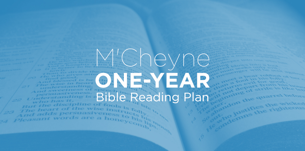 Theo Enthumology My Bible Reading Plan For 2020 theo-enthumology-my-bible-reading-plan-for-2020