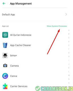 10 Cara Mengatasi Play Store yang Tidak Dapat Dibuka 13 5b