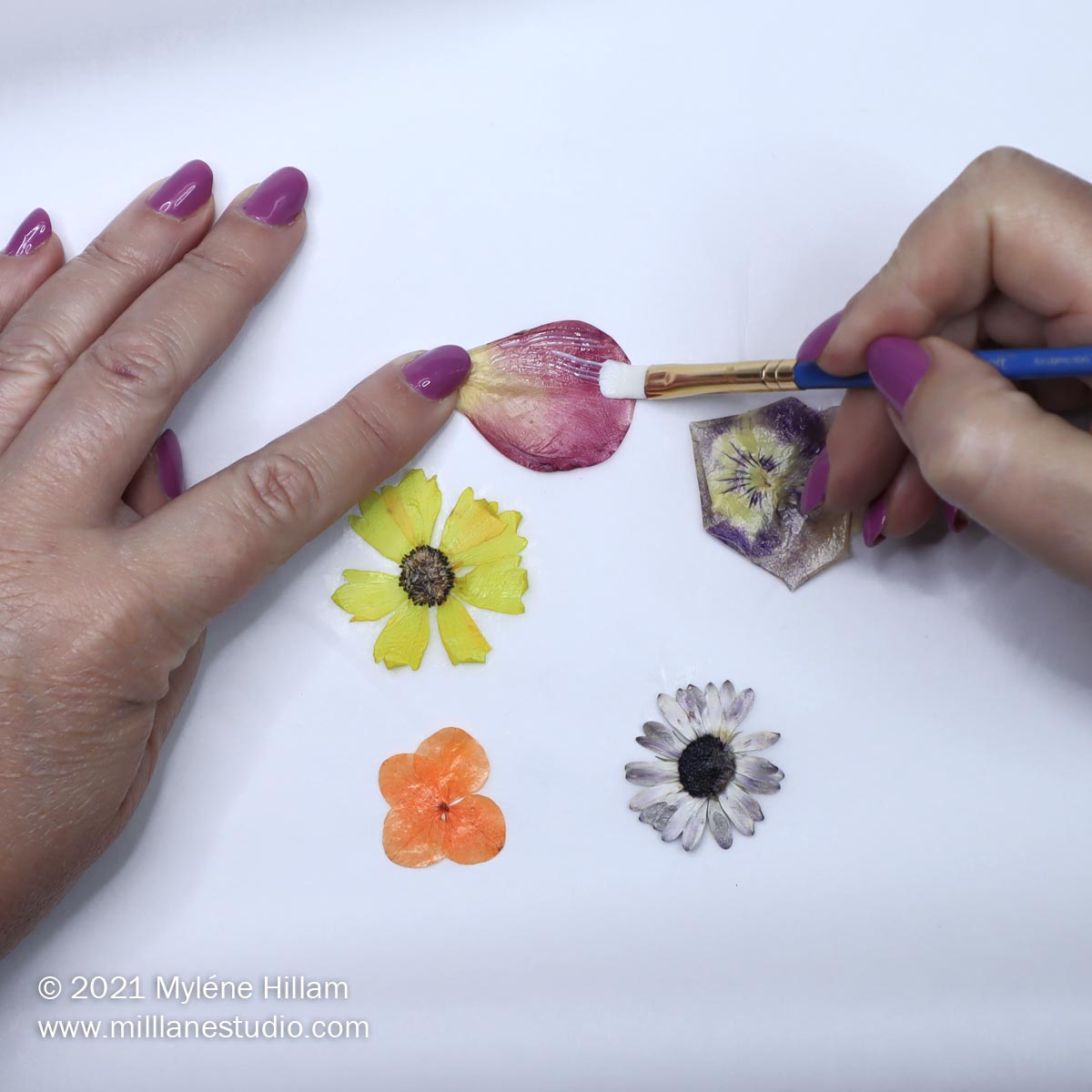 How to Seal Flowers for Resin Mill Lane Studio