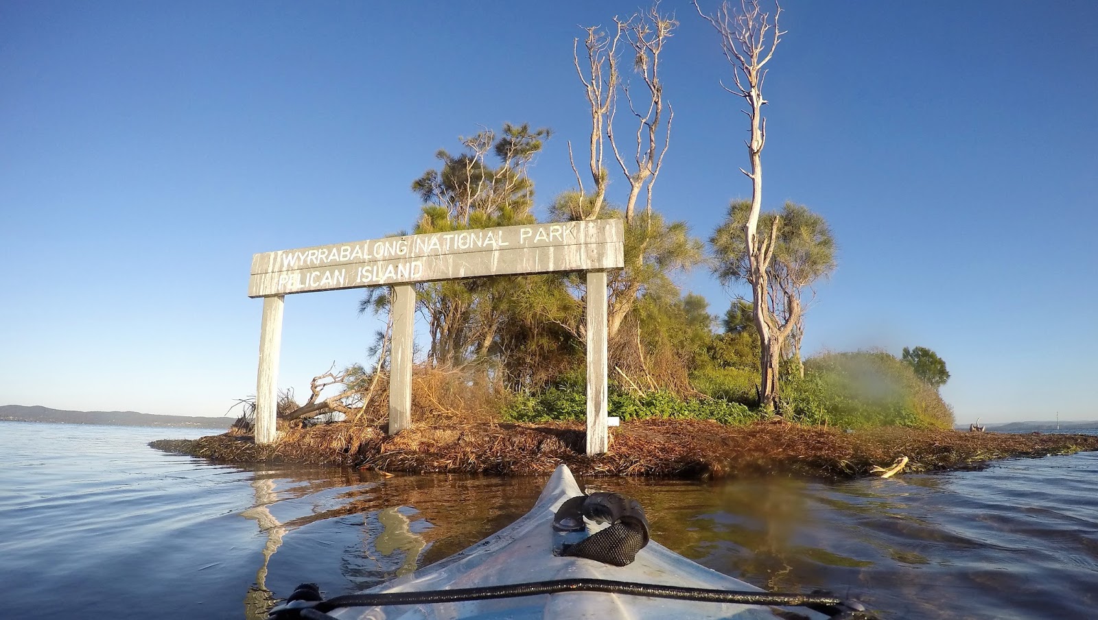 ROCK'S ADVENTURES PELICAN ISLAND AND THE ENTRANCE CHANNEL KAYAK 16
