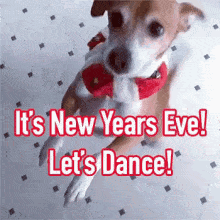 Anonymoousvictorz: Romantic Happy New Year 2020 Gif