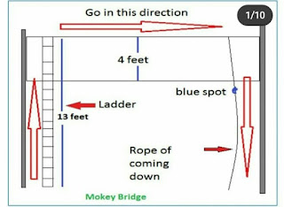 Monkey Bridge