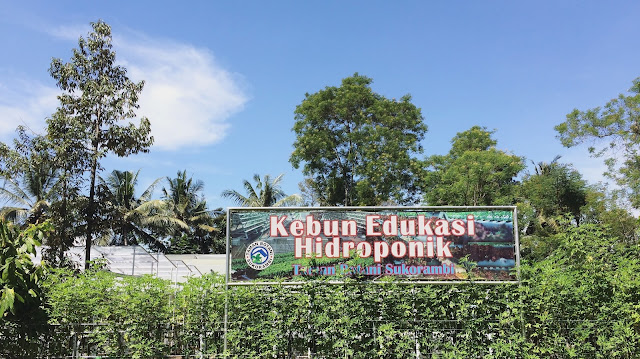 Ines Yuanta Blog >> Kebun Edukasi Hidroponik milik Taman Botani Sukorambi. Kebun Edukasi Hidroponik milik Taman Botani Sukorambi.