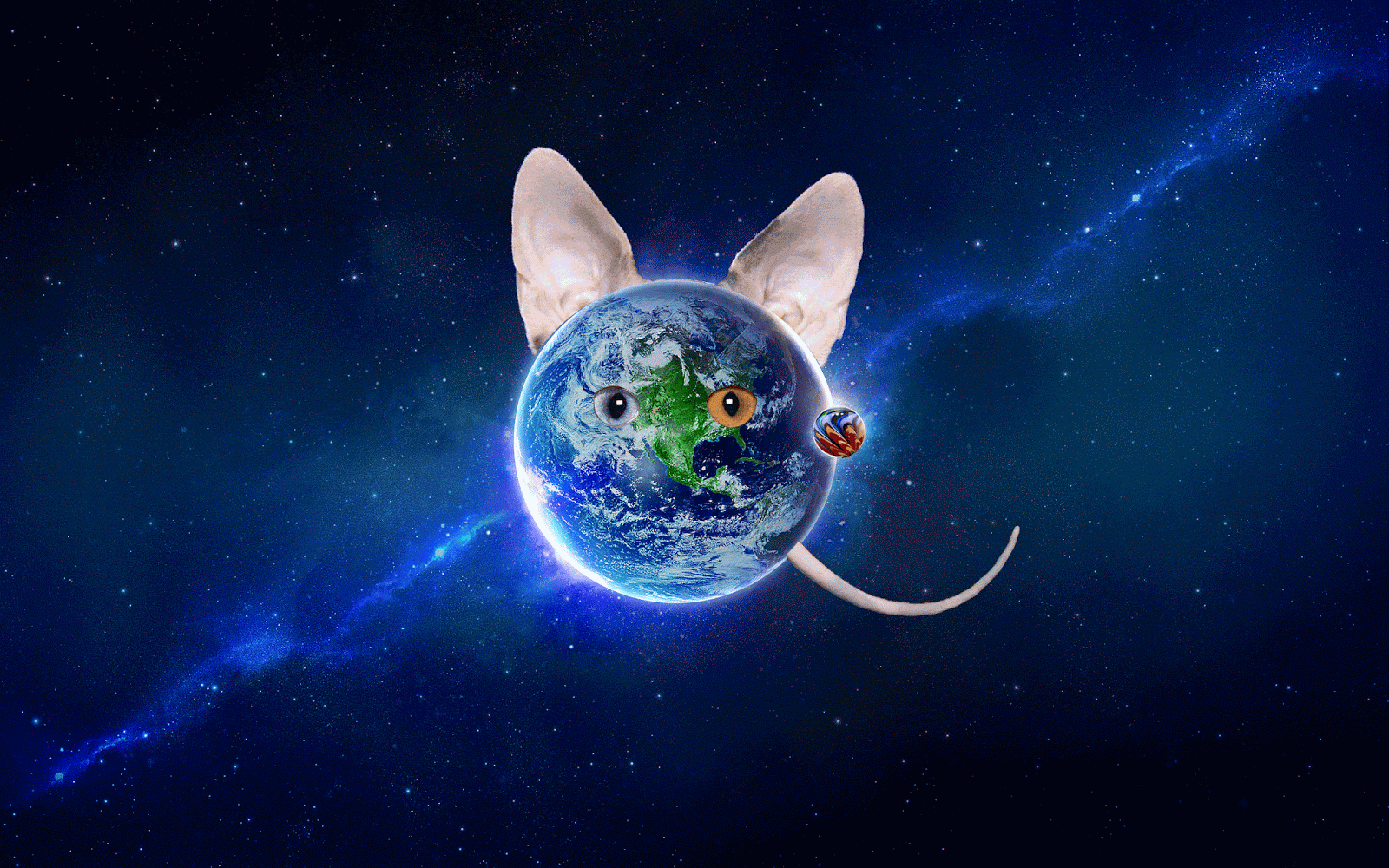 Domins Pizza: Cat Planet