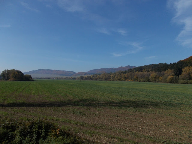 [Obrazek: DSCN0340.JPG]