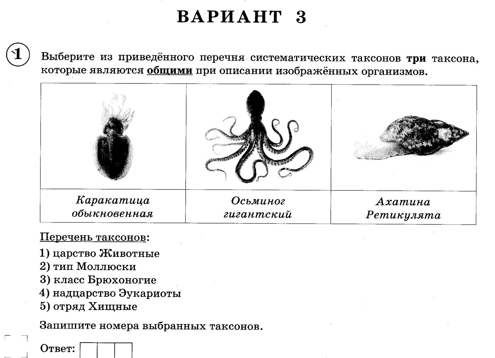 Консументы животных. Признаки таксонов человека ВПР 8 класс. Впр биология рыбы