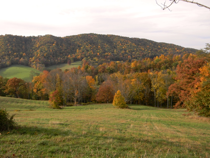 SWAC Girl The mountain colors of Warm Springs, Virginia