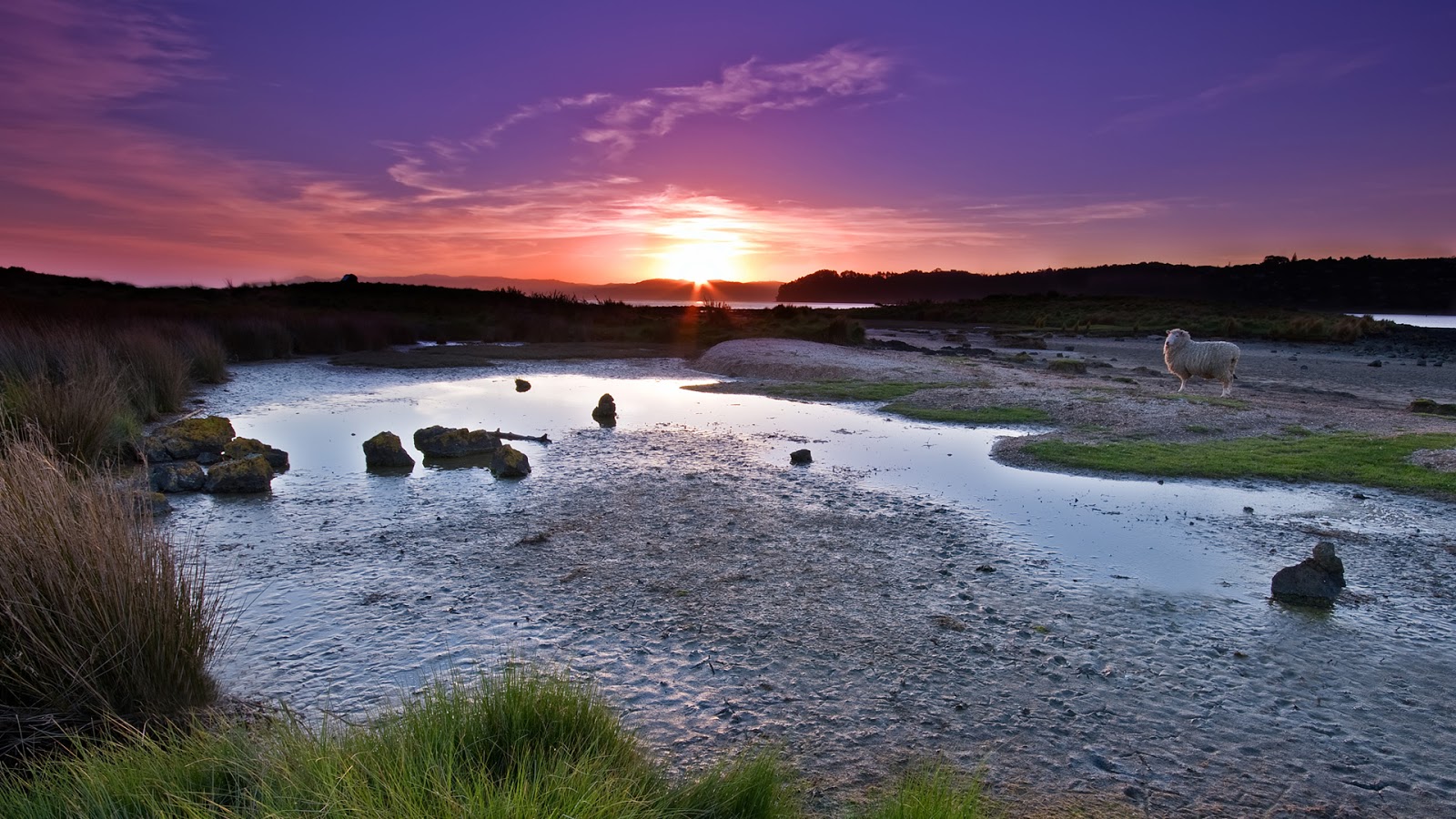 Hot Blog Post: 100 Best Nature Full HD Wallpapers (1920x1080p)