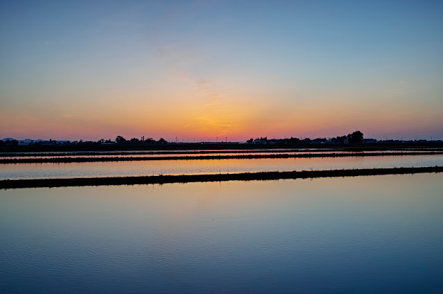 #photo #landscape #sigma #foveon #sdquattroh #japan #yamagata #tsuruoka #写真 #風景写真 #山形帝國 #山形県 #鶴岡市