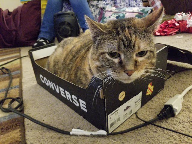 Eva rules all elements of the box.