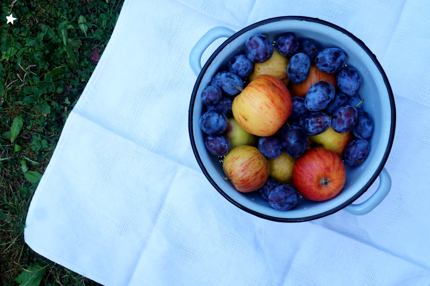 Farine d'étoiles On a cueilli plein de quetsches, on en fait quoi