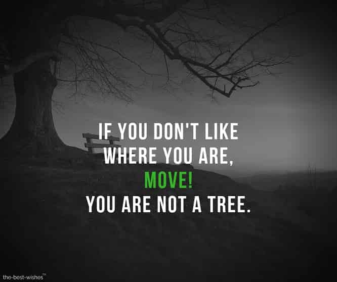 if-you-dont-like-where-you-are-move-you-are-not-a-tree Positive Motivational Quote to Move on in Life