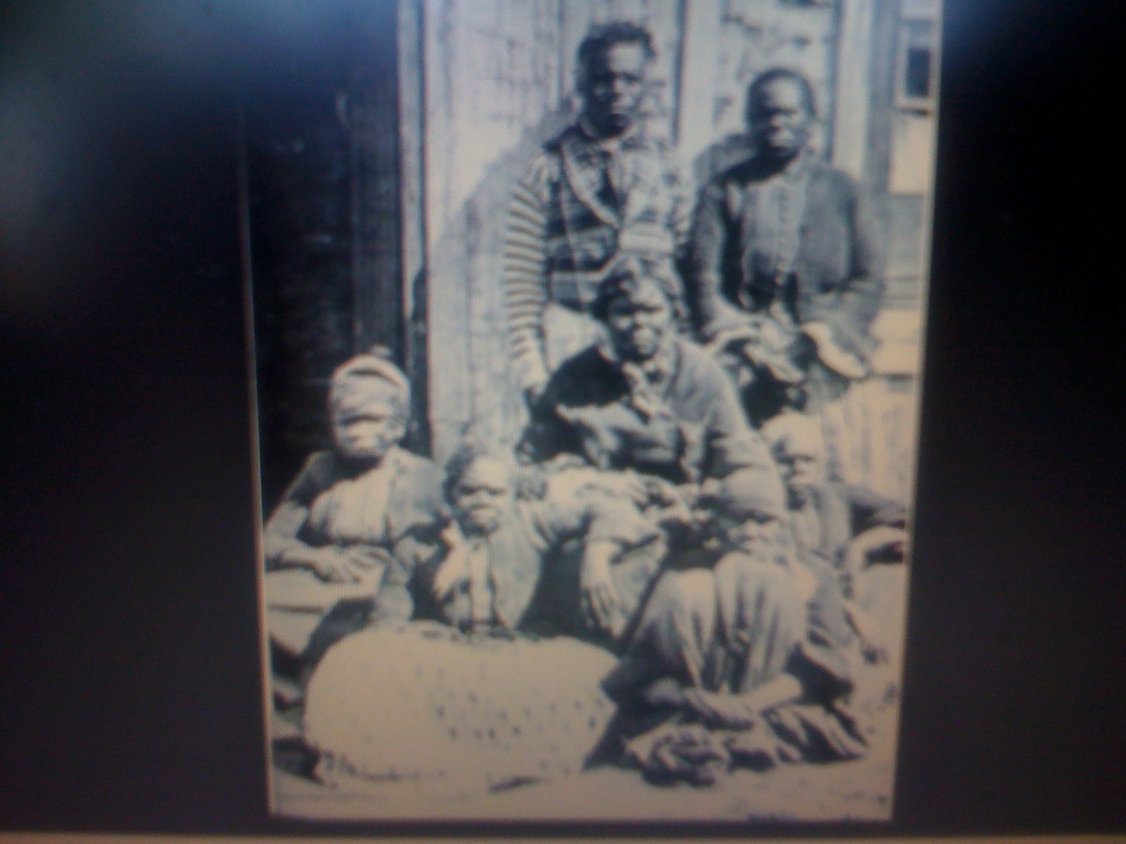 THE BLACK SOCIAL HISTORY BLACK SOCIAL HISTORY THE BLACK TASMANIANS
