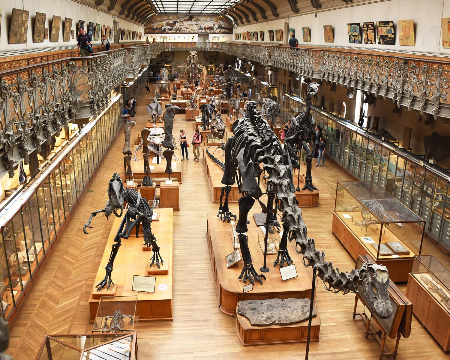 Dinosaur skeletons at the Paris Museum of Natural History