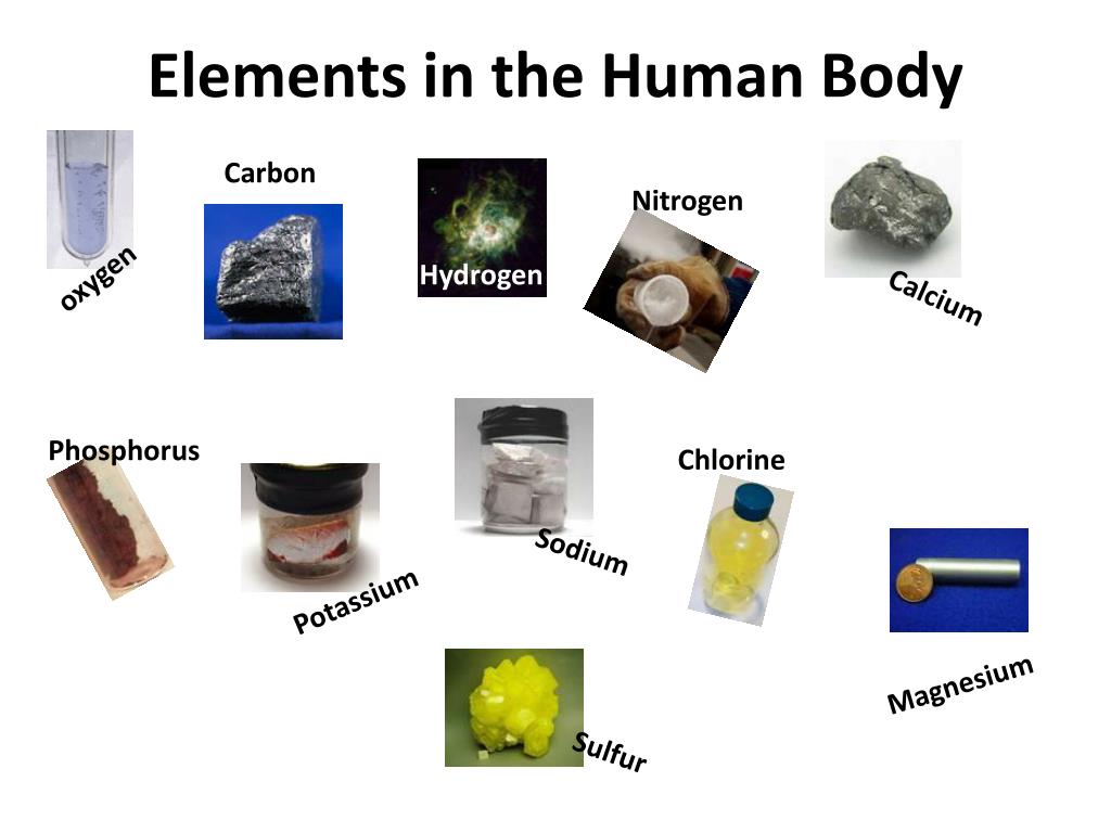 Common elements. Chemical elements in the Human body. In элемент. Human элемент. Body elements.