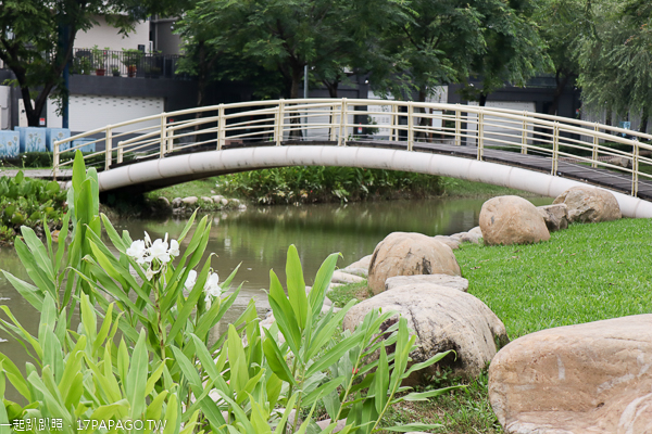台中北屯|廍子公園|黃花風鈴木|滑板場|巨人腳印公園|綠籬迷宮|生態池|拱橋 台中北屯|廍子公園|黃花風鈴木|滑板場|巨人腳印公園|綠籬迷宮|生態池|拱橋