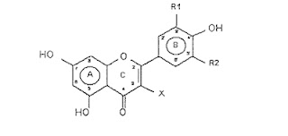 flavonoides