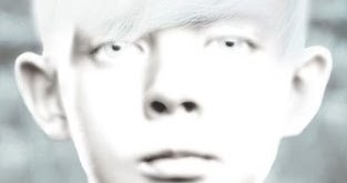 SO I'M FIFTY: MMGM: Pale By Chris Wooding and the Hi/Lo Controversy