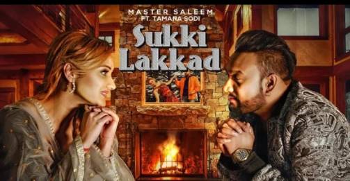Sukki Lakkad Lyrics - Master Saleem