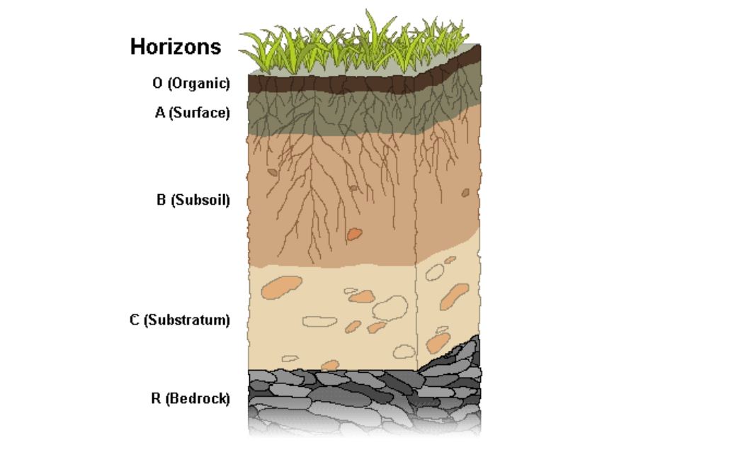 Pengertian Horizon Tanah Dan Gambarnya Lengkap Terlengkap