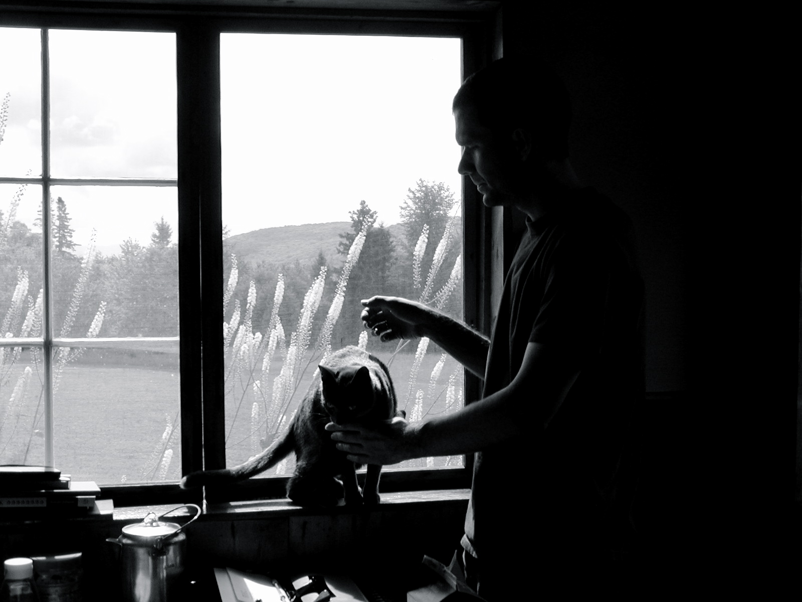 Elective Affinities: Stan Mir