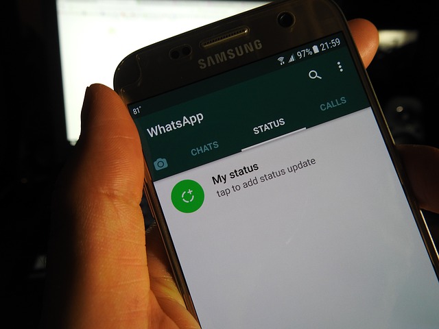 Cara Menyimpan Foto Dan Video Dari Status Whatsapp Wa Orang Lain Dengan Mudah Dan Cepat Zuckici Com