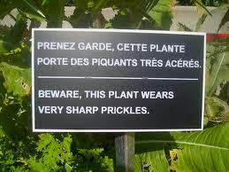 funny French translation errors