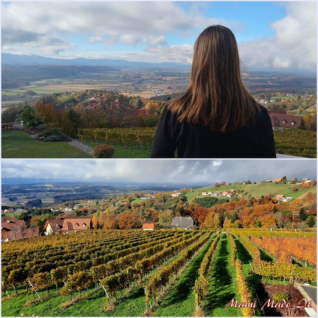 Herbst in der Südsteiermark - Autumn in South Styria