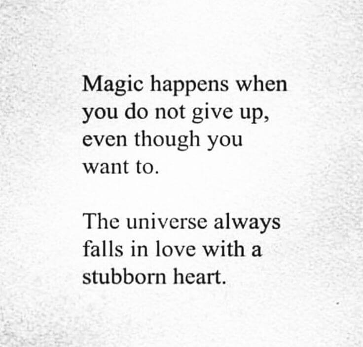 Quotes About Not Giving Up On Love Magic Happens When You Do Not Give Up - Sassy Girl Quotes