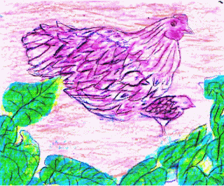 Memberi garis-garis pada bulu ayam dan serat daun Gambar Memberi garis-garis pada bulu ayam dan serat daun sebagai Cara Sketsa Flora dan Fauna Dengan Mudah