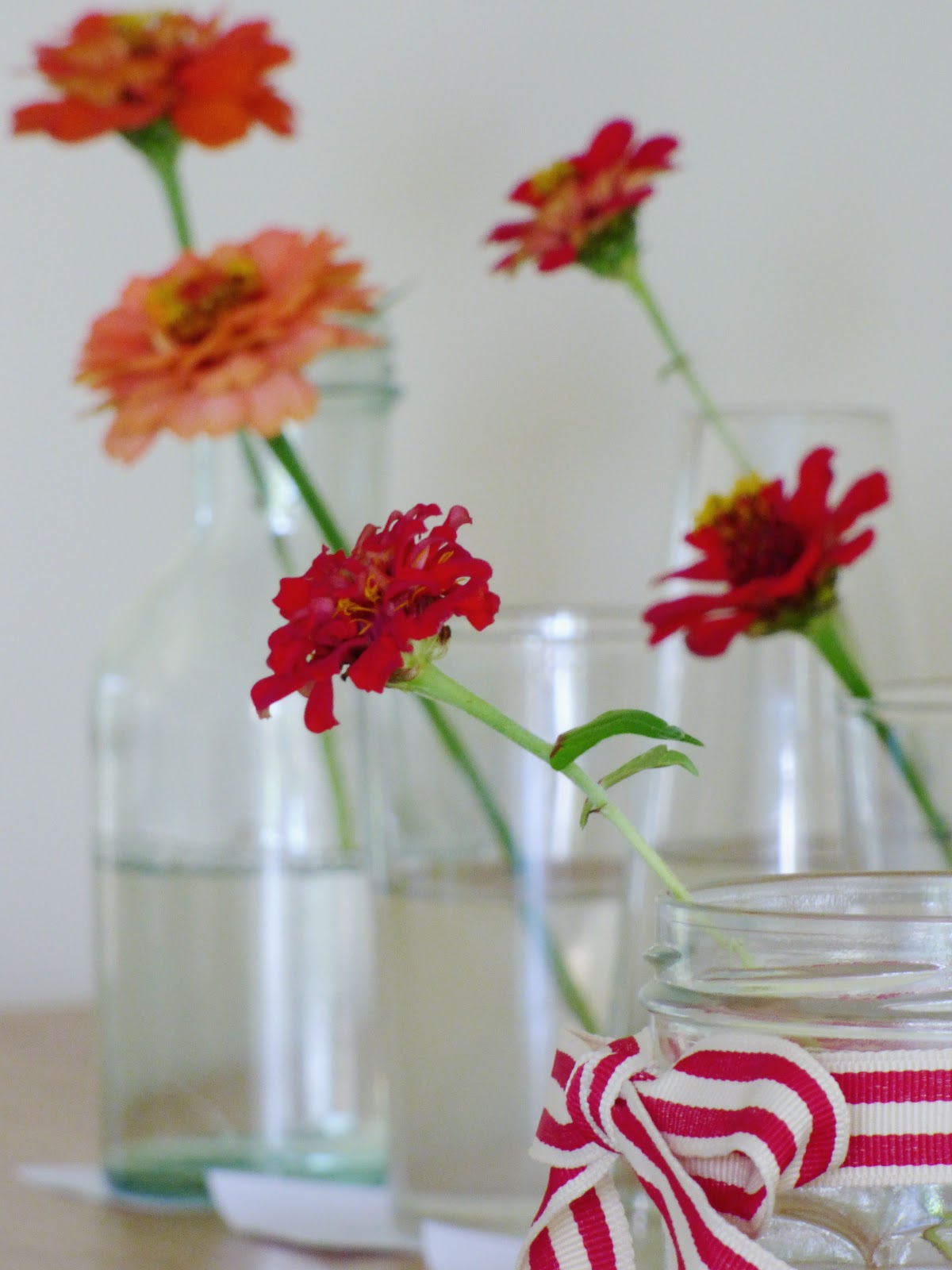 Homemade Flower Food Experiment