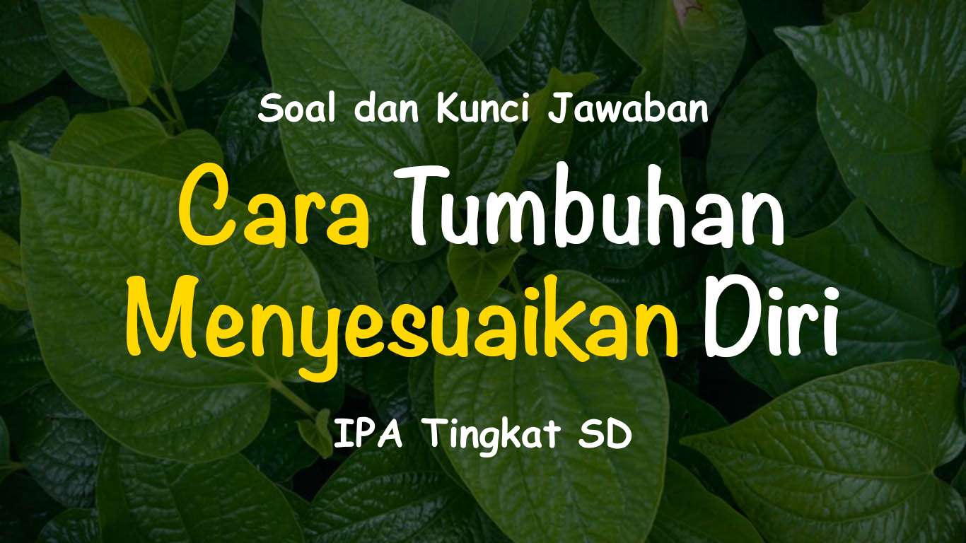 Soal Dan Jawaban Materi Cara Tumbuhan Menyesuaikan Diri Ipa Sd Saifullah Id