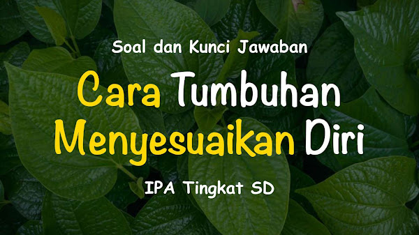 Soal dan Jawaban Materi Cara Tumbuhan Menyesuaikan Diri - IPA SD