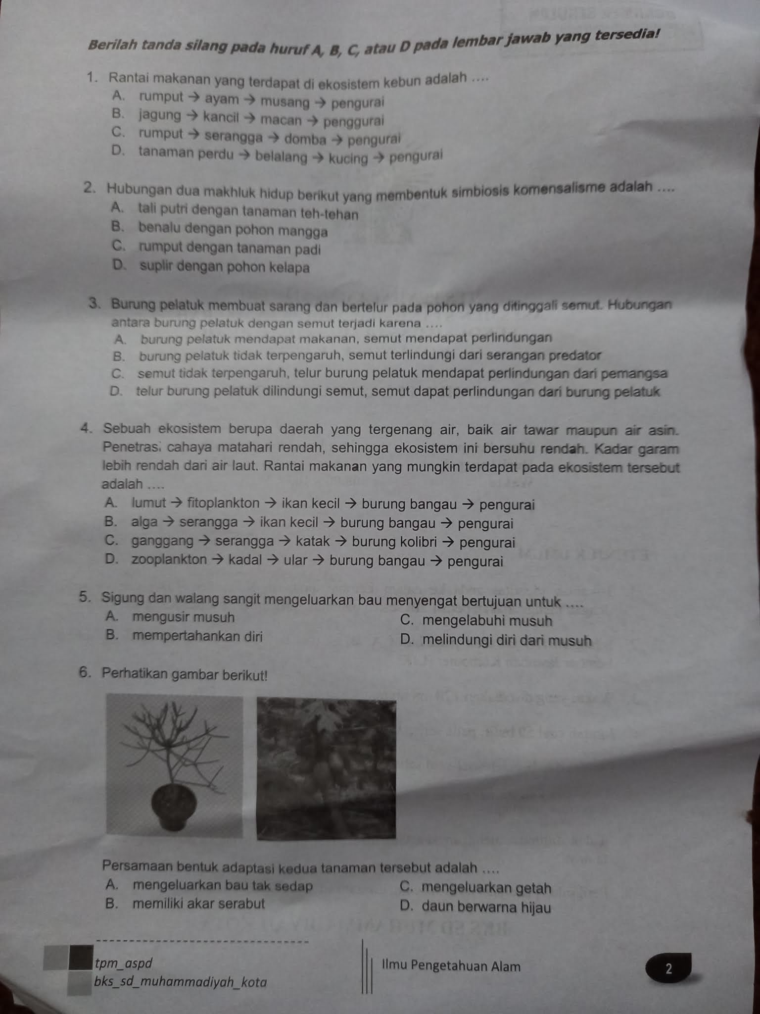 Pembahasan Tpm Sekolah Muhammadiyah Cahaya Mentari