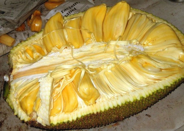 To re-live our Old memories