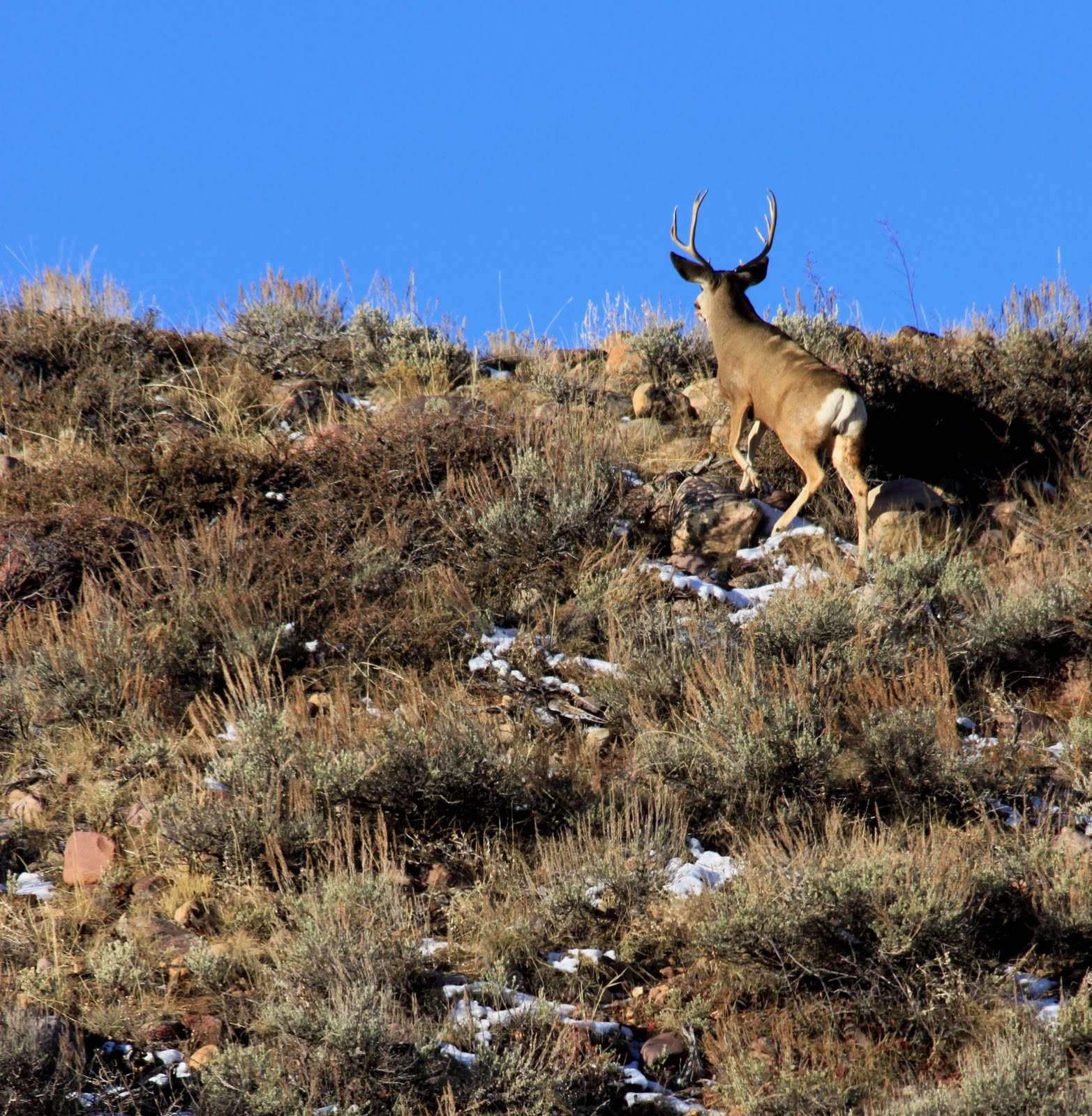 River Tales Lake Fork, Utah