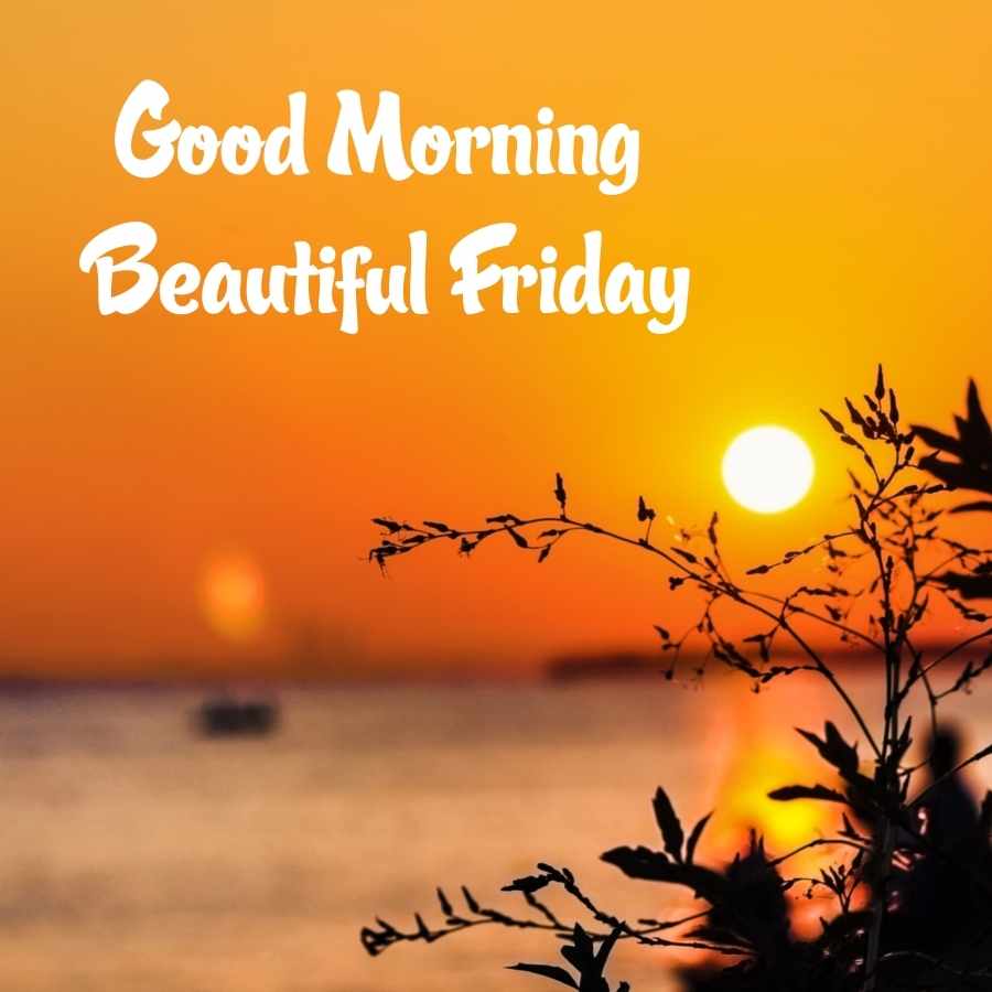 happy friday images