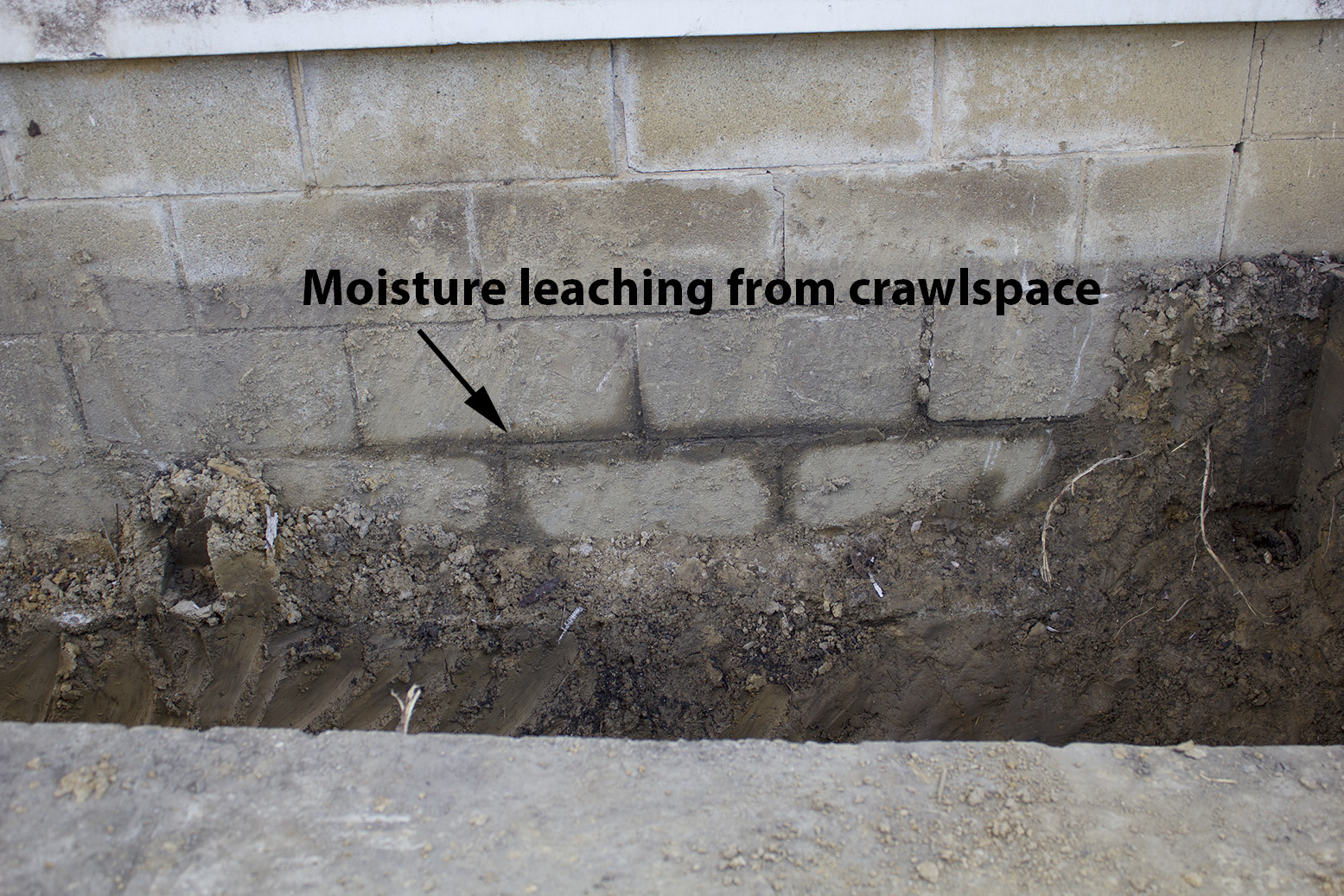 Rurification Robin Edmundson Foundation