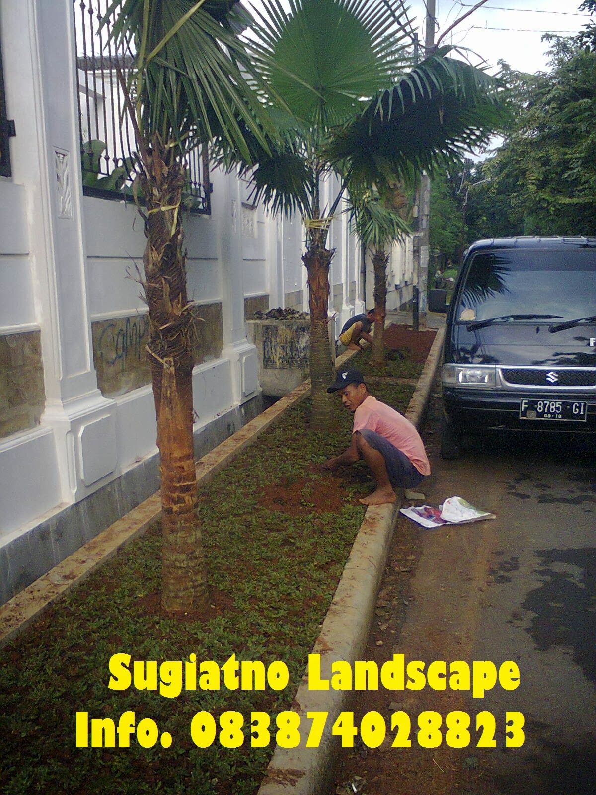 Inspirasi Top 12+ Desain Taman Luar Pagar