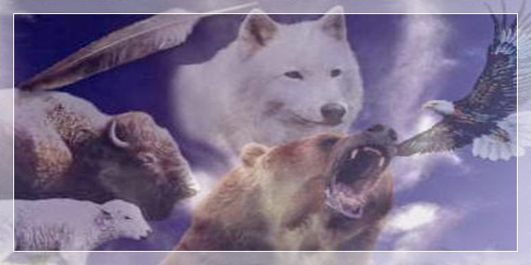 Animais de Poder: Conheça os significados de cada um