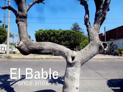 Revisando el archivo de fotos de El Bable, 2019-3. Noticias en tiempo real