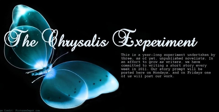 The Chrysalis Experiment