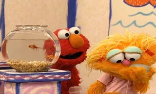 Zoe appears and saying that the rock Rocco is her friend and kisses Rocco. Elmo says Rocco is a rock. Sesame Street Elmo's World Friends
