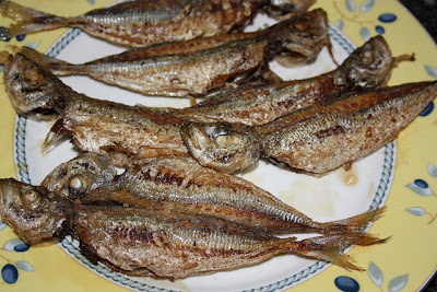  Caballas y jurelitos 