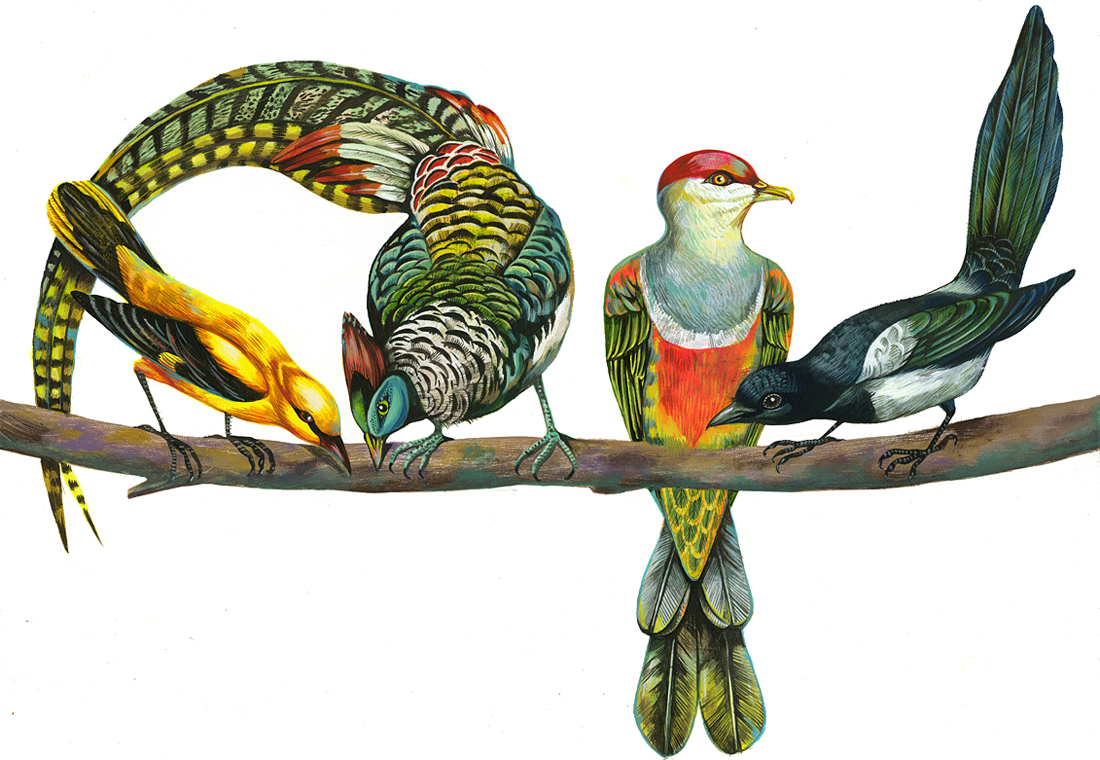 Bird b c. Guido Scarabottolo иллюстрации птица. Olaf Hajek художник.