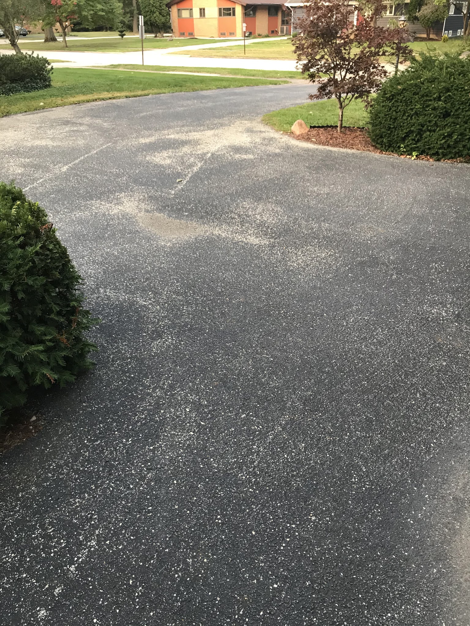New Driveway Blacktop for the Win