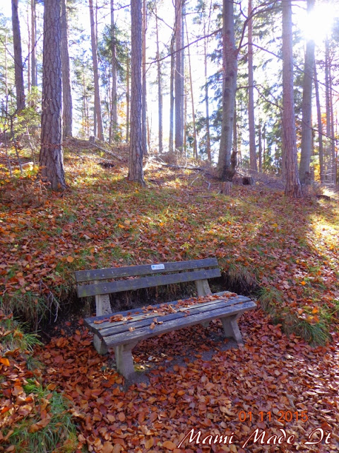 A Walk in the Woods - Ein Waldspaziergang