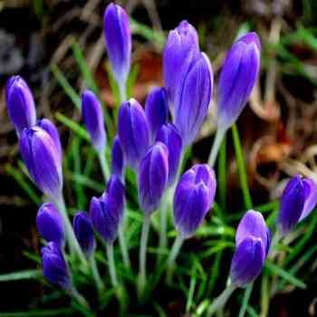 Sundor Pic (সুন্দর পিক) Nice Pictures for you