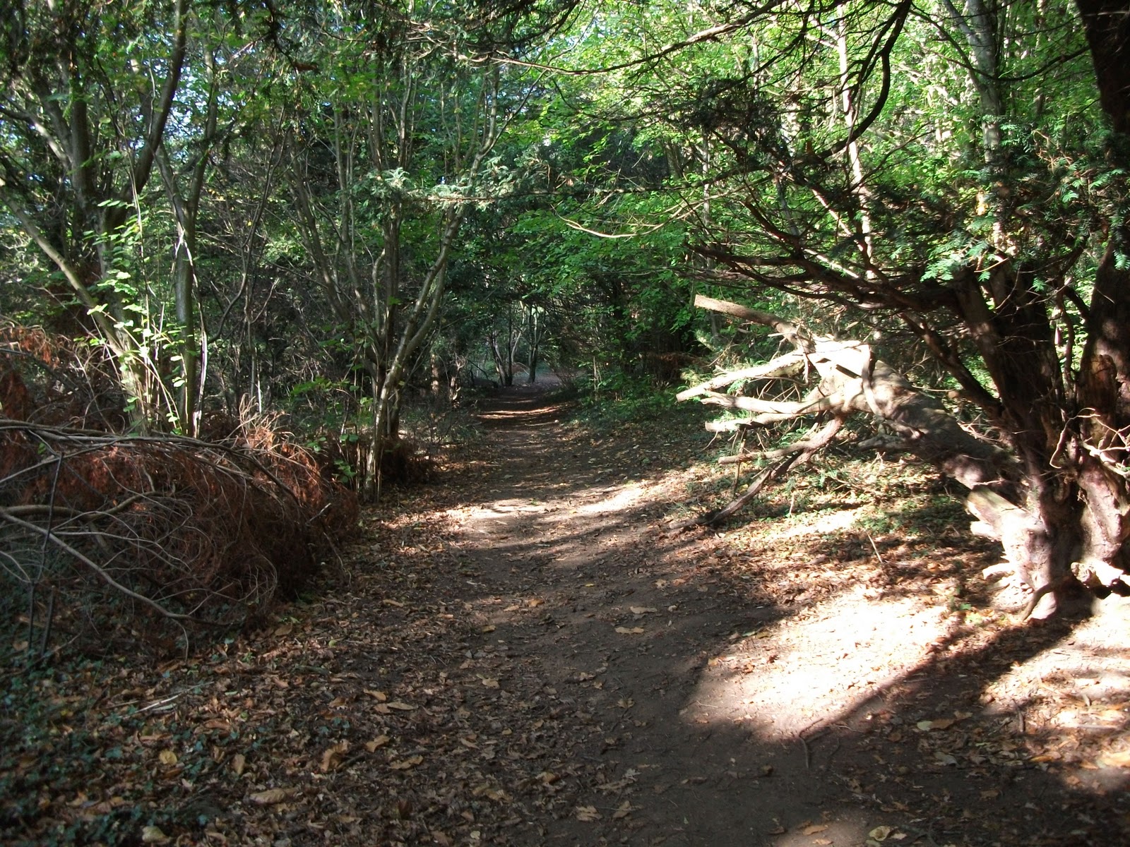 Remembering Maltby Maltby Common