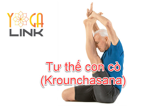 Mỗi ngày một tư thế Yoga || 48 Tư thế con cò